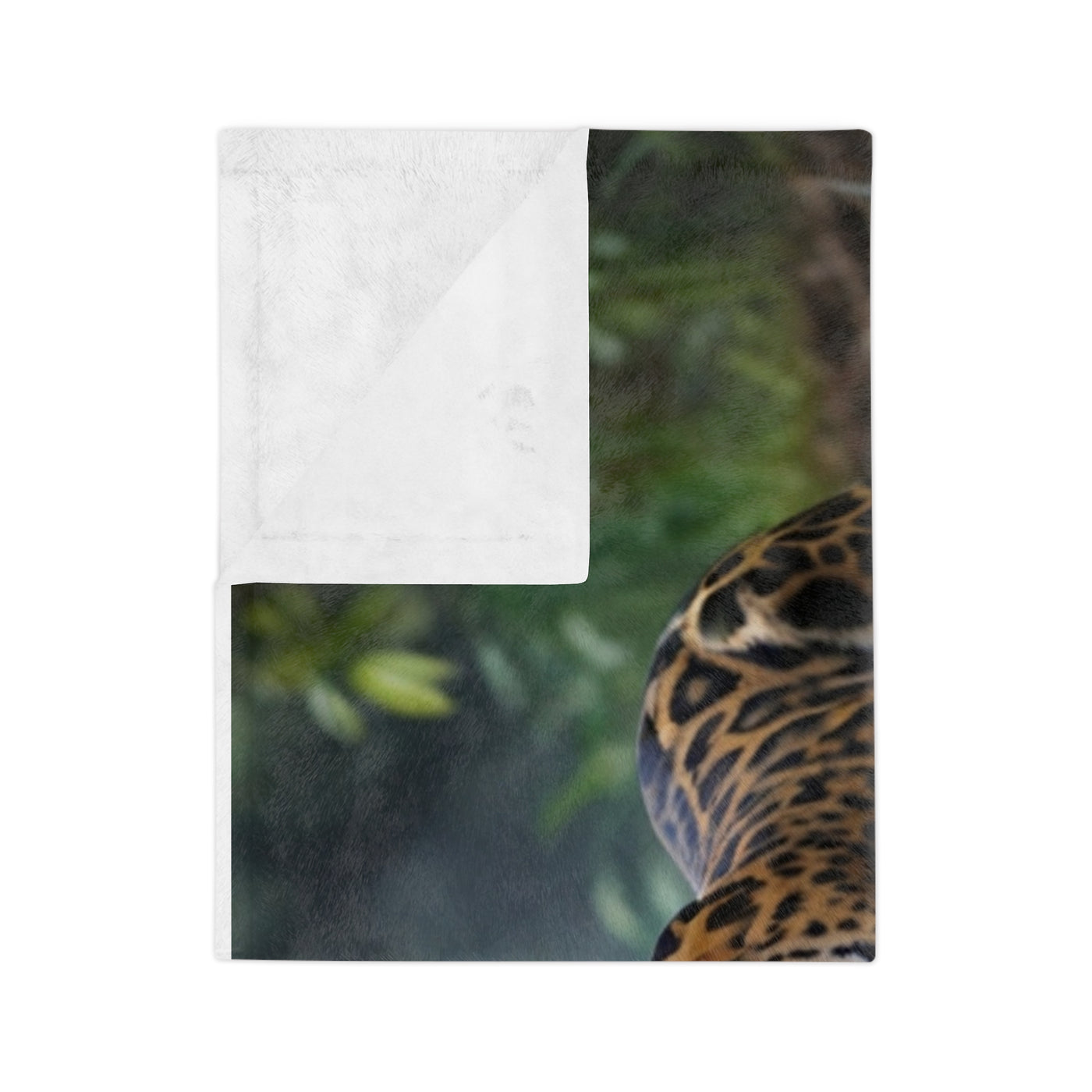 Velveteen Microfiber Blanket jaguar kids