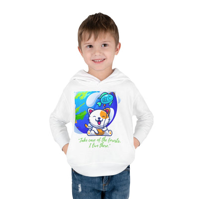 A58 Toddler Pullover Fleece Hoodie