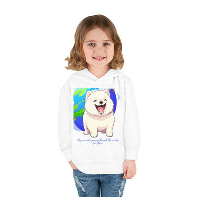 A50 Toddler Pullover Fleece Hoodie