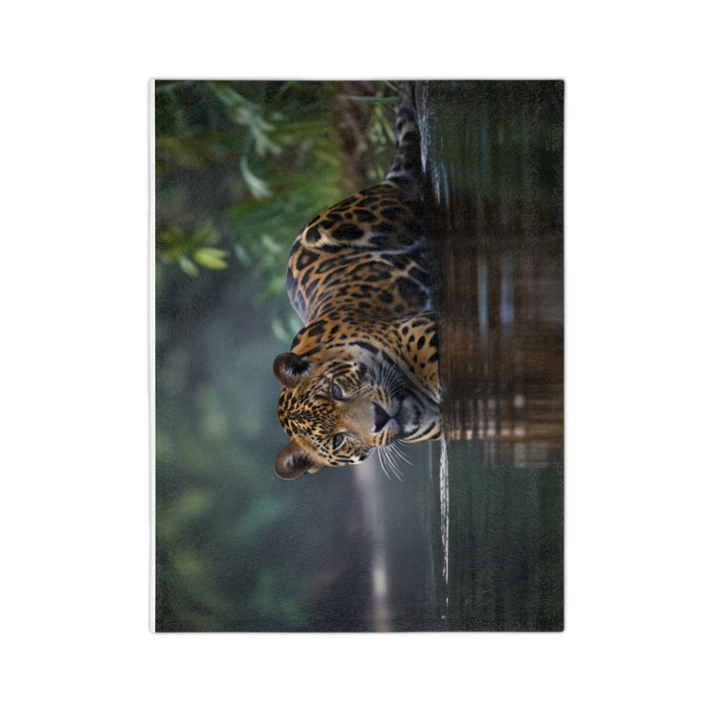 Velveteen Microfiber Blanket jaguar kids