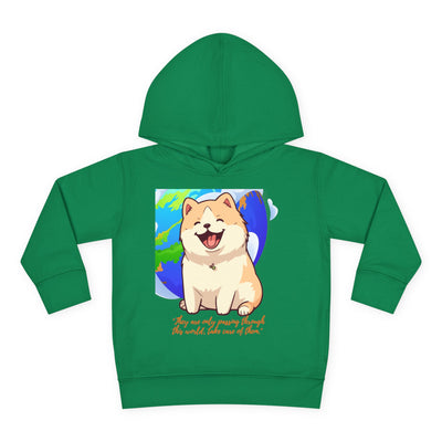 A49 Toddler Pullover Fleece Hoodie