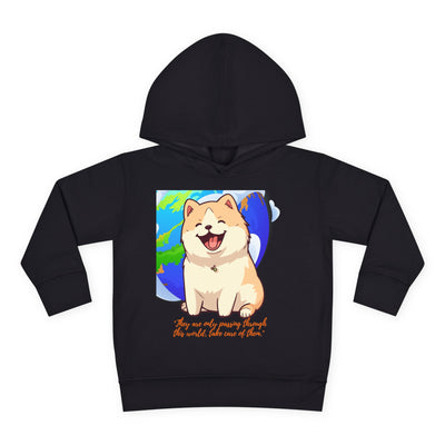 A49 Toddler Pullover Fleece Hoodie