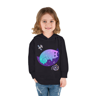 A29 Toddler Pullover Fleece Hoodie