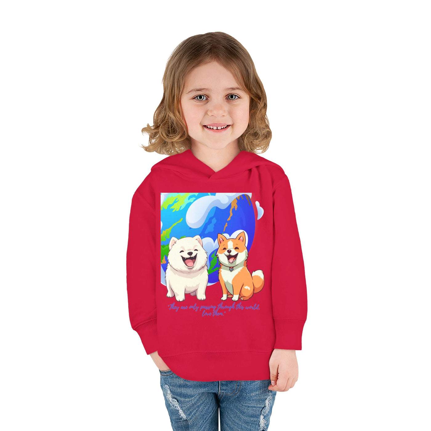 A51 Toddler Pullover Fleece Hoodie